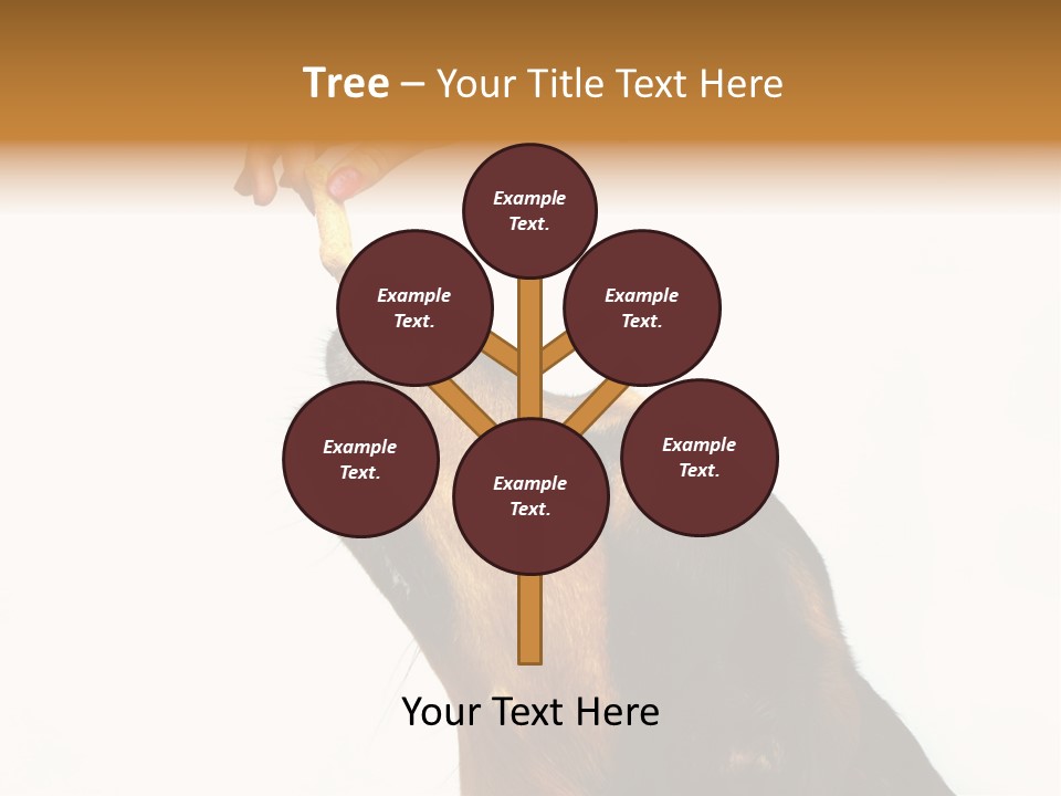 Beauty And The Beast PowerPoint Template