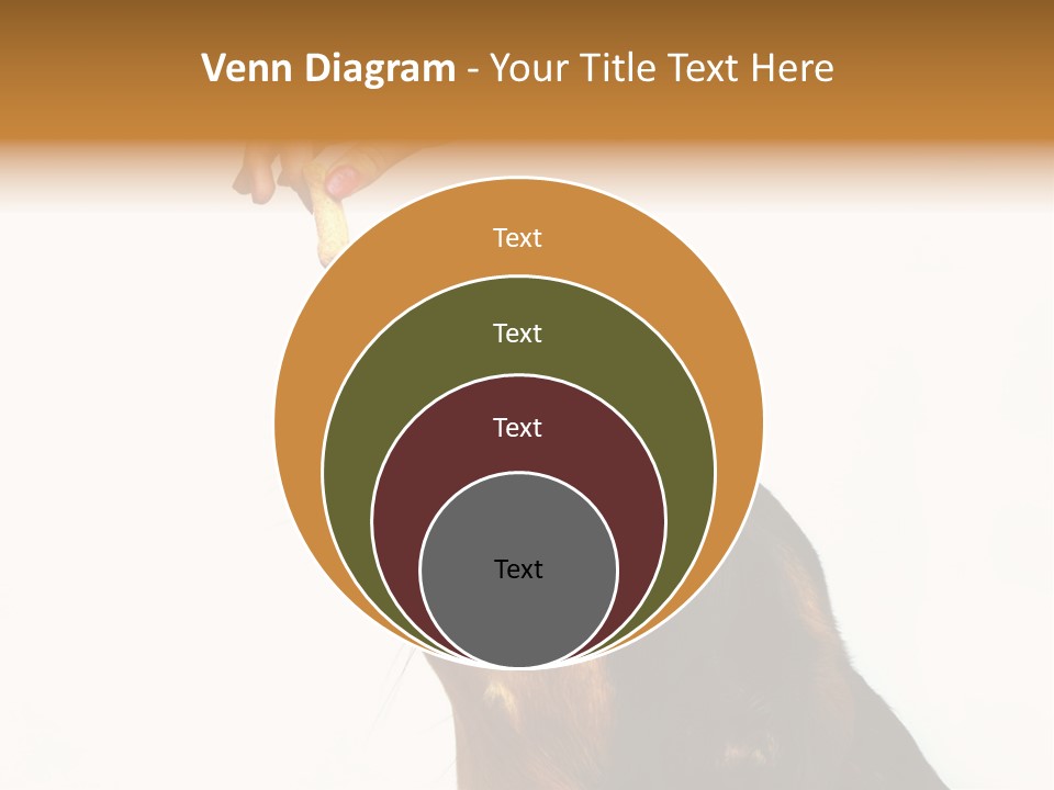 Beauty And The Beast PowerPoint Template