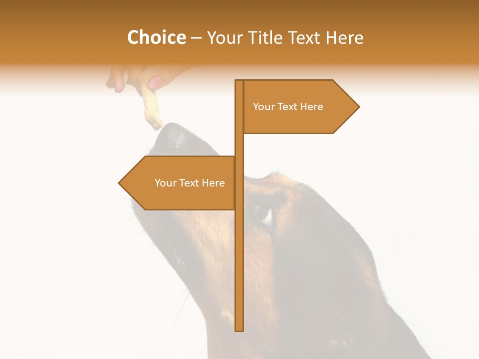 Beauty And The Beast PowerPoint Template