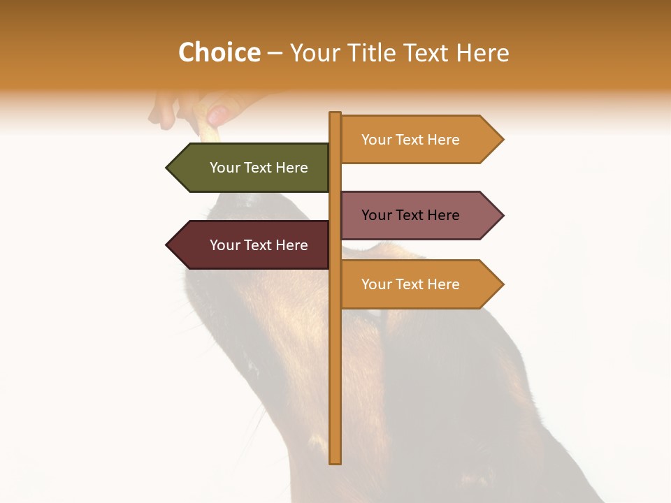 Beauty And The Beast PowerPoint Template