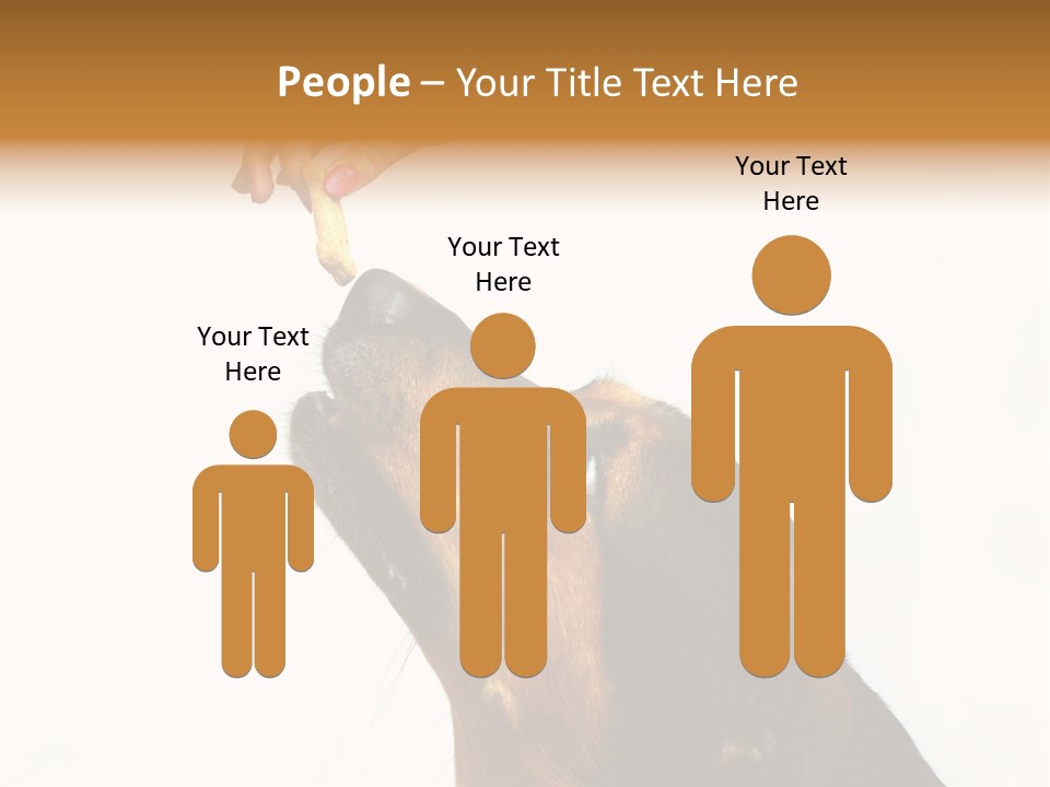 Beauty And The Beast PowerPoint Template