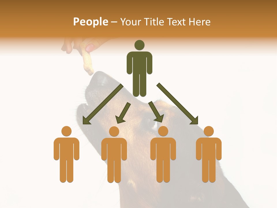 Beauty And The Beast PowerPoint Template