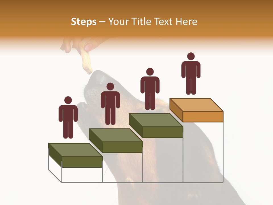 Beauty And The Beast PowerPoint Template