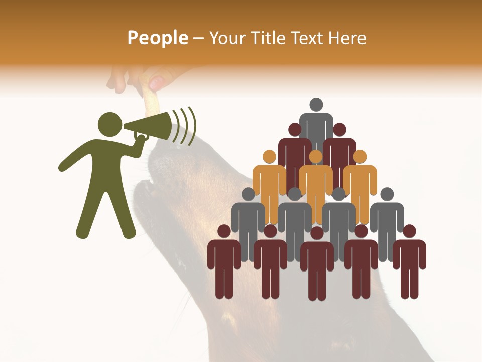 Beauty And The Beast PowerPoint Template