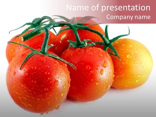 Close Up Of Fresh Red Tomatoes Isolated On White PowerPoint Template