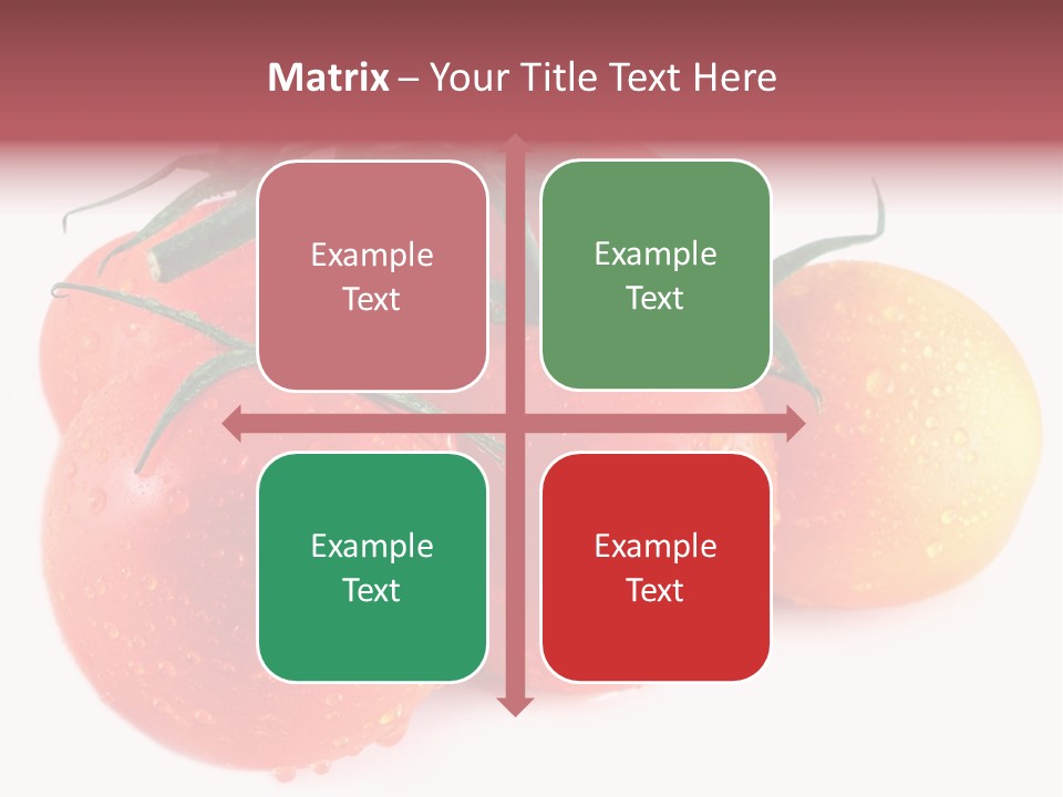 Close Up Of Fresh Red Tomatoes Isolated On White PowerPoint Template