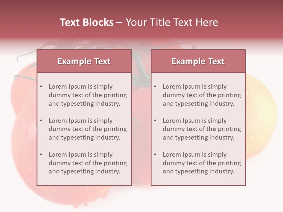 Close Up Of Fresh Red Tomatoes Isolated On White PowerPoint Template