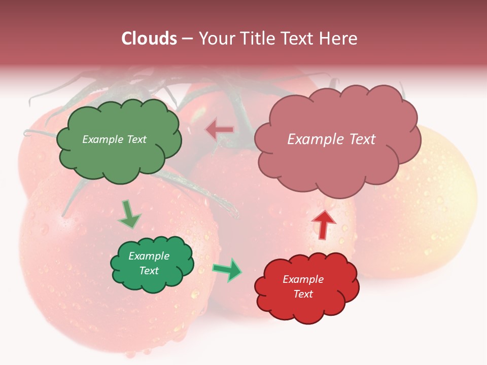 Close Up Of Fresh Red Tomatoes Isolated On White PowerPoint Template