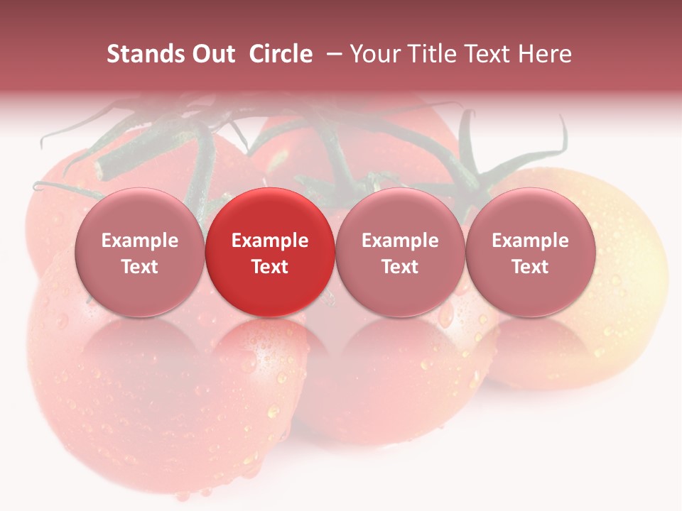 Close Up Of Fresh Red Tomatoes Isolated On White PowerPoint Template