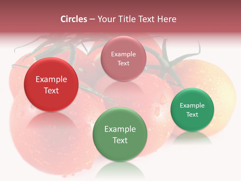 Close Up Of Fresh Red Tomatoes Isolated On White PowerPoint Template