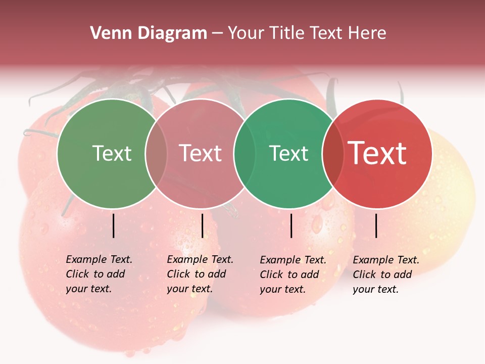 Close Up Of Fresh Red Tomatoes Isolated On White PowerPoint Template