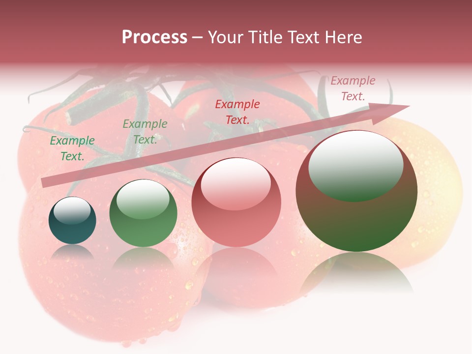 Close Up Of Fresh Red Tomatoes Isolated On White PowerPoint Template