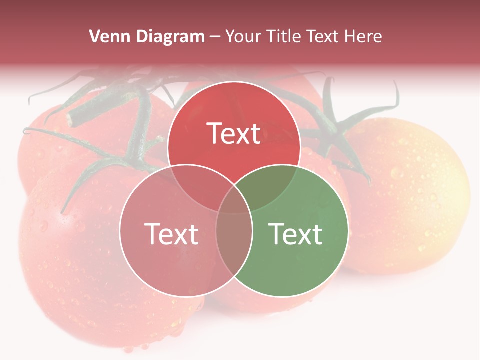 Close Up Of Fresh Red Tomatoes Isolated On White PowerPoint Template