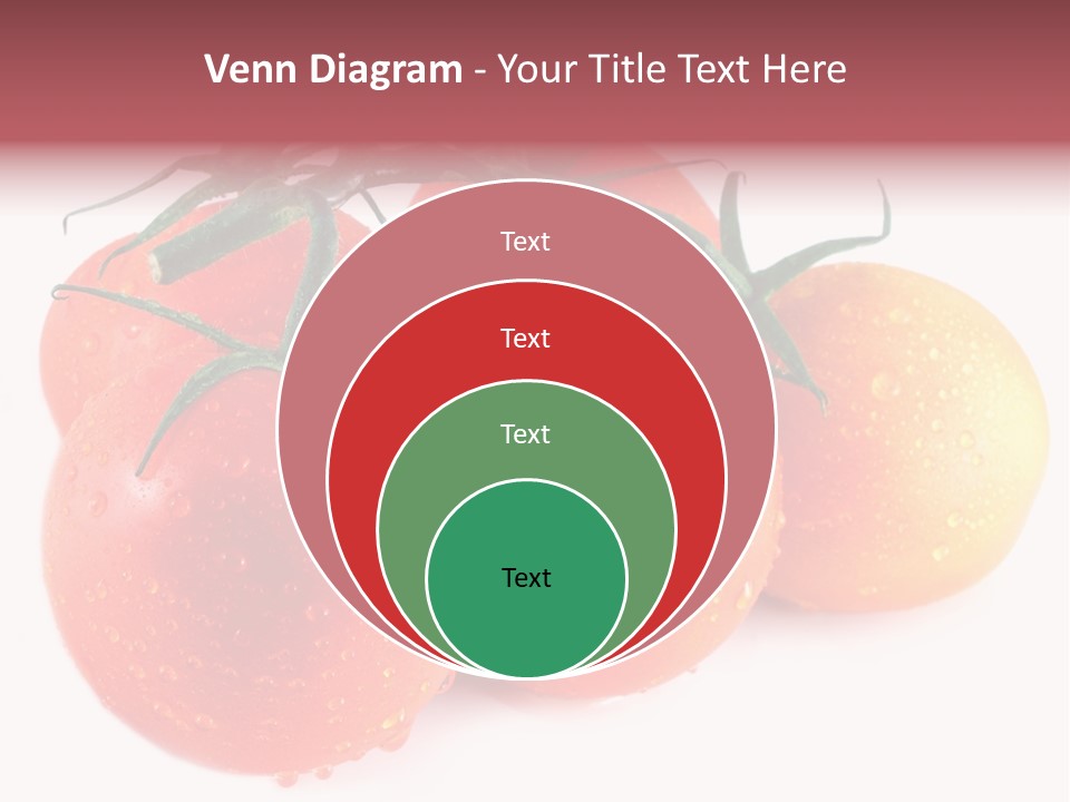 Close Up Of Fresh Red Tomatoes Isolated On White PowerPoint Template