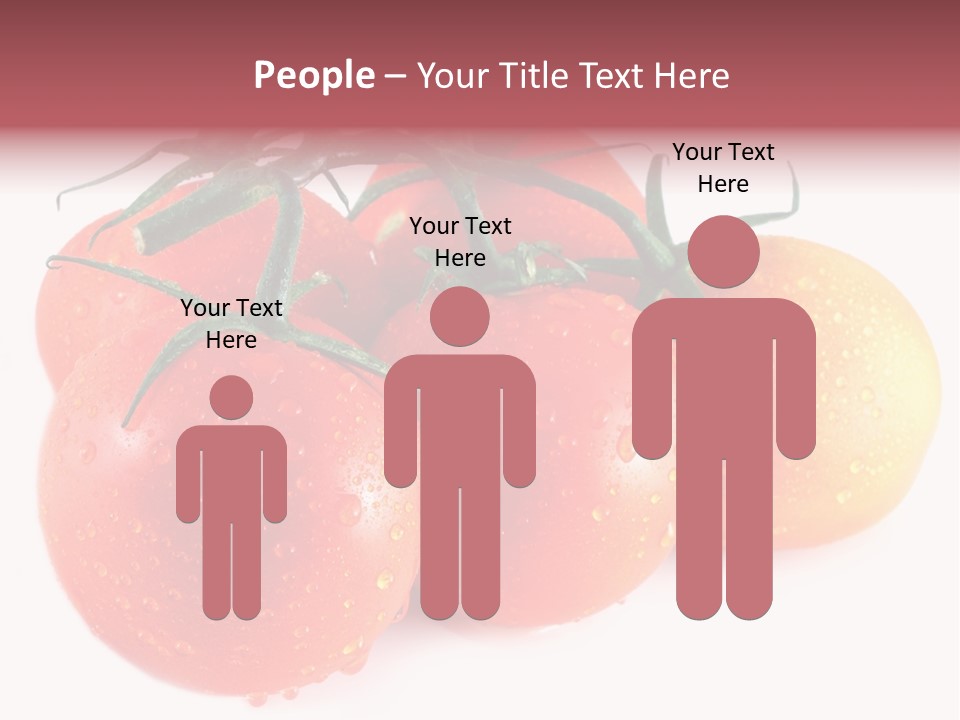 Close Up Of Fresh Red Tomatoes Isolated On White PowerPoint Template