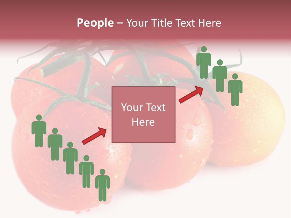 Close Up Of Fresh Red Tomatoes Isolated On White PowerPoint Template