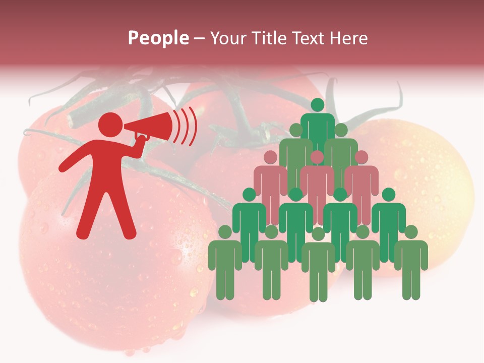 Close Up Of Fresh Red Tomatoes Isolated On White PowerPoint Template