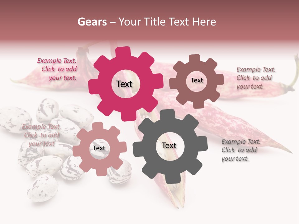 Rosecoco Bean On White Background PowerPoint Template