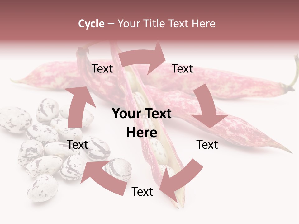 Rosecoco Bean On White Background PowerPoint Template