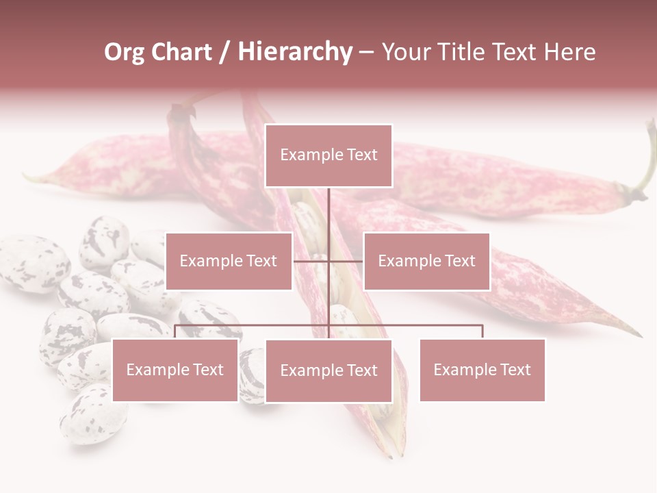 Rosecoco Bean On White Background PowerPoint Template