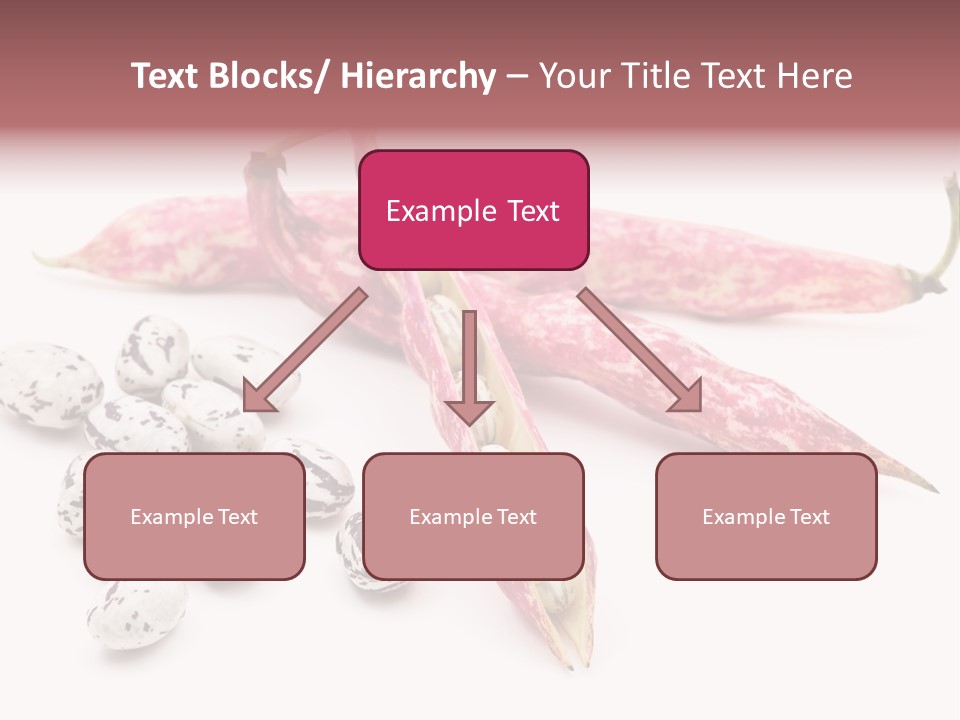 Rosecoco Bean On White Background PowerPoint Template