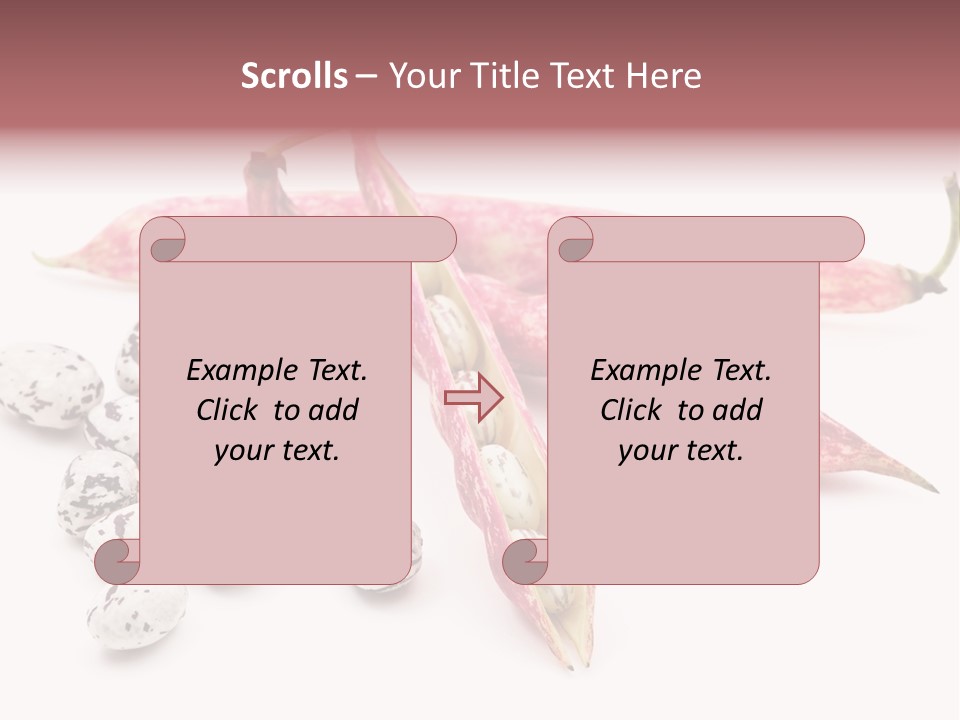 Rosecoco Bean On White Background PowerPoint Template