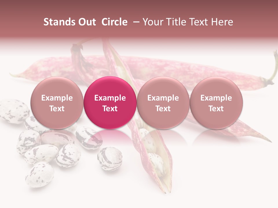 Rosecoco Bean On White Background PowerPoint Template