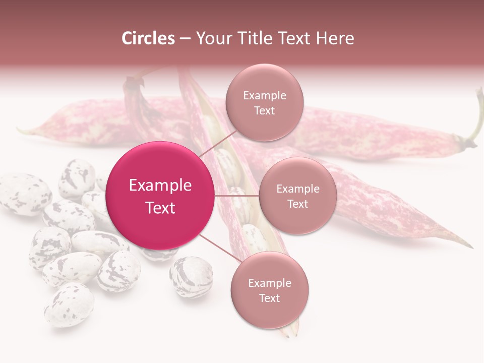 Rosecoco Bean On White Background PowerPoint Template