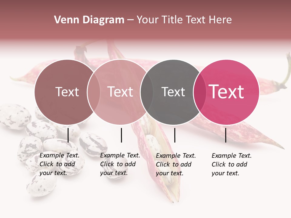 Rosecoco Bean On White Background PowerPoint Template