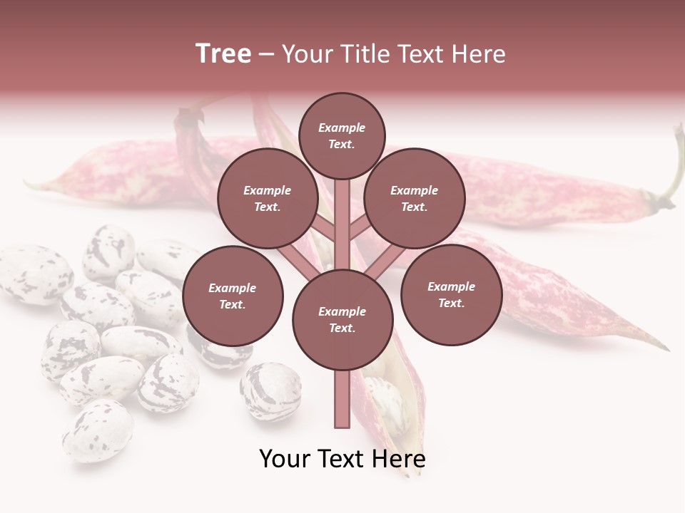 Rosecoco Bean On White Background PowerPoint Template