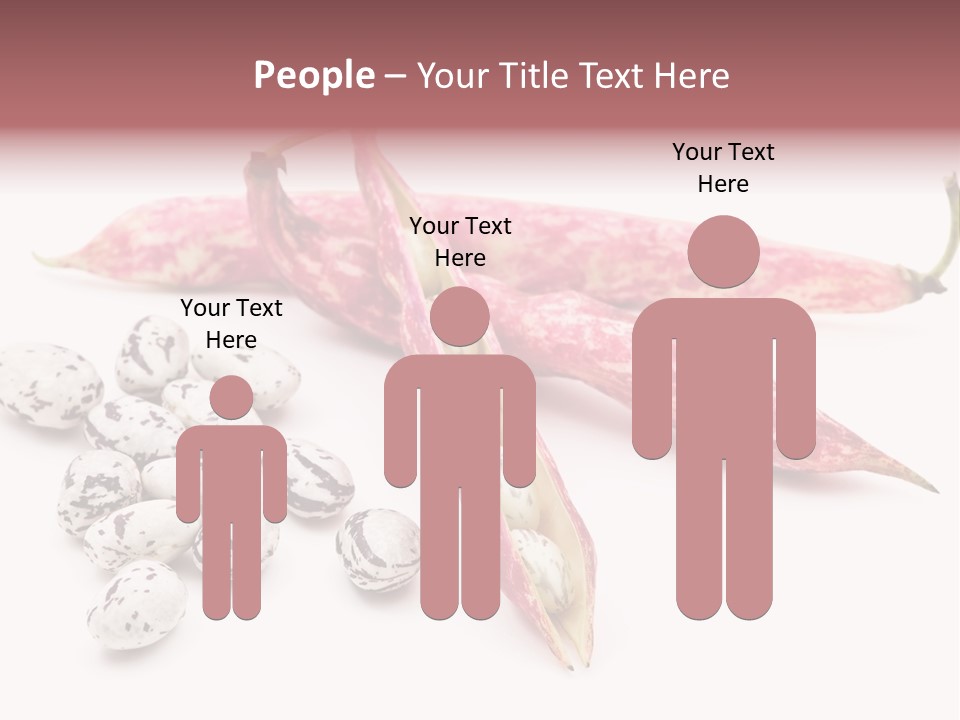 Rosecoco Bean On White Background PowerPoint Template