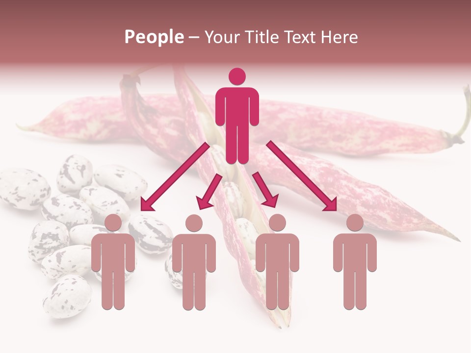 Rosecoco Bean On White Background PowerPoint Template