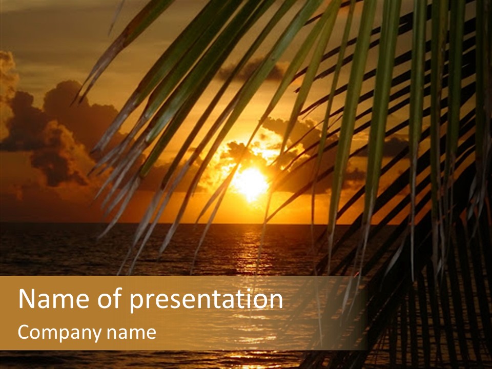 A Sunset Over The Ocean With Palm Leaves PowerPoint Template