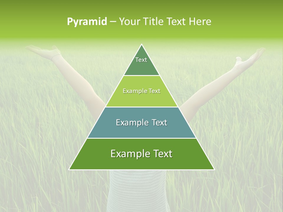 Freedom PowerPoint Template