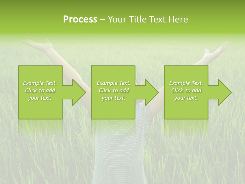 Freedom PowerPoint Template