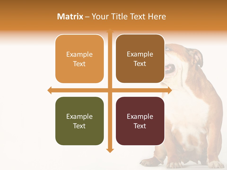 Bulldog PowerPoint Template