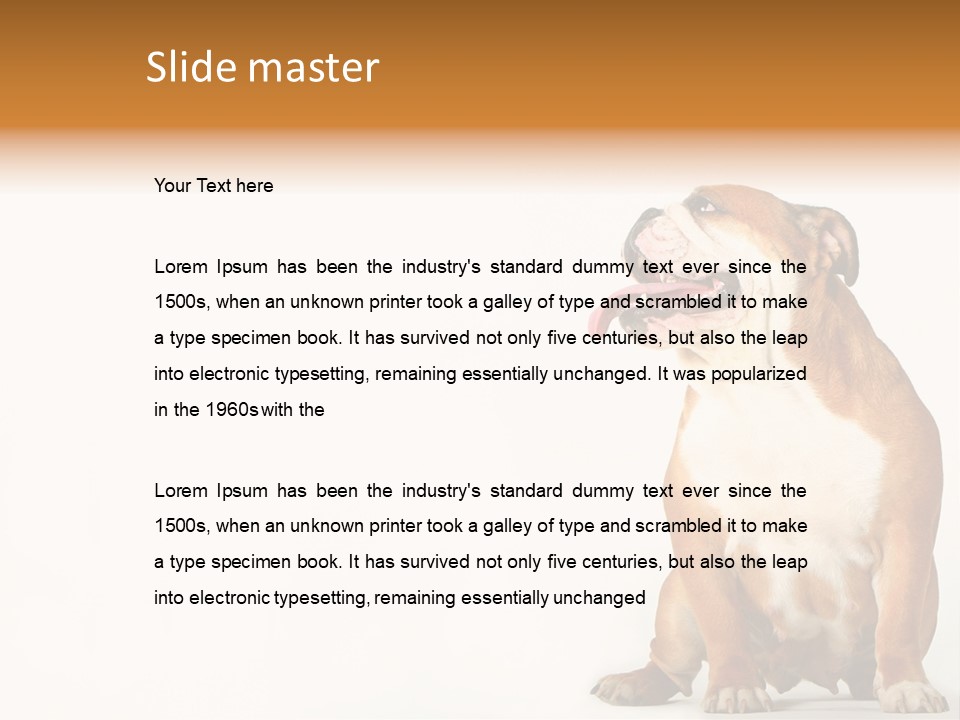 Bulldog PowerPoint Template