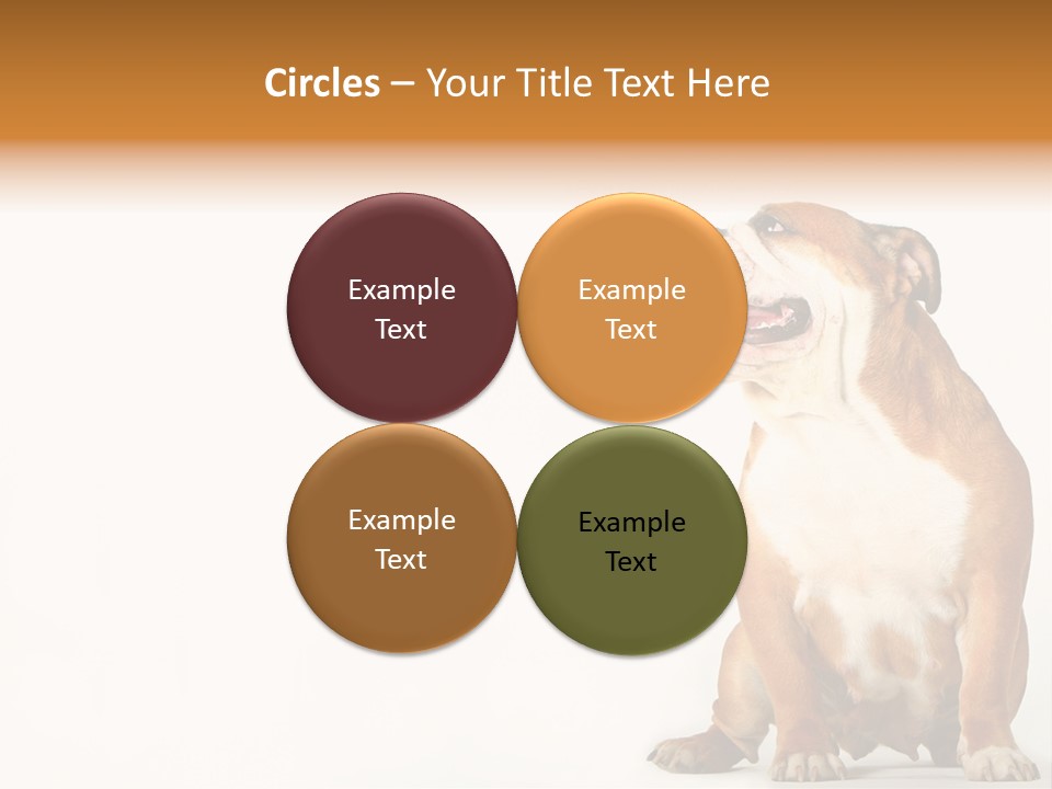 Bulldog PowerPoint Template