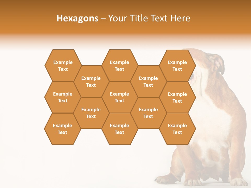 Bulldog PowerPoint Template