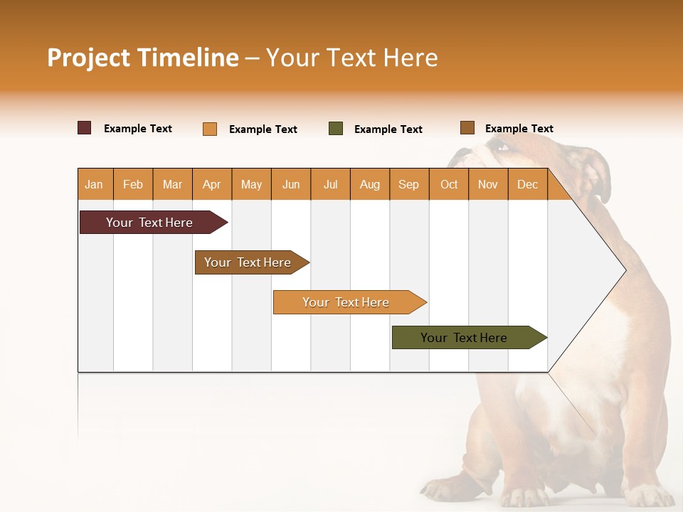 Bulldog PowerPoint Template