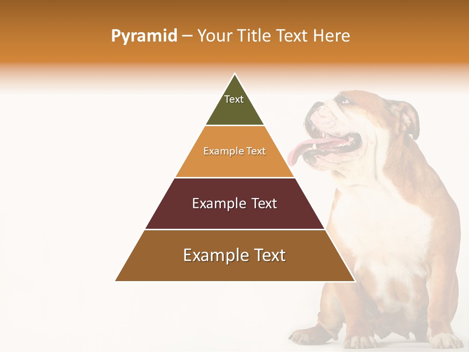 Bulldog PowerPoint Template