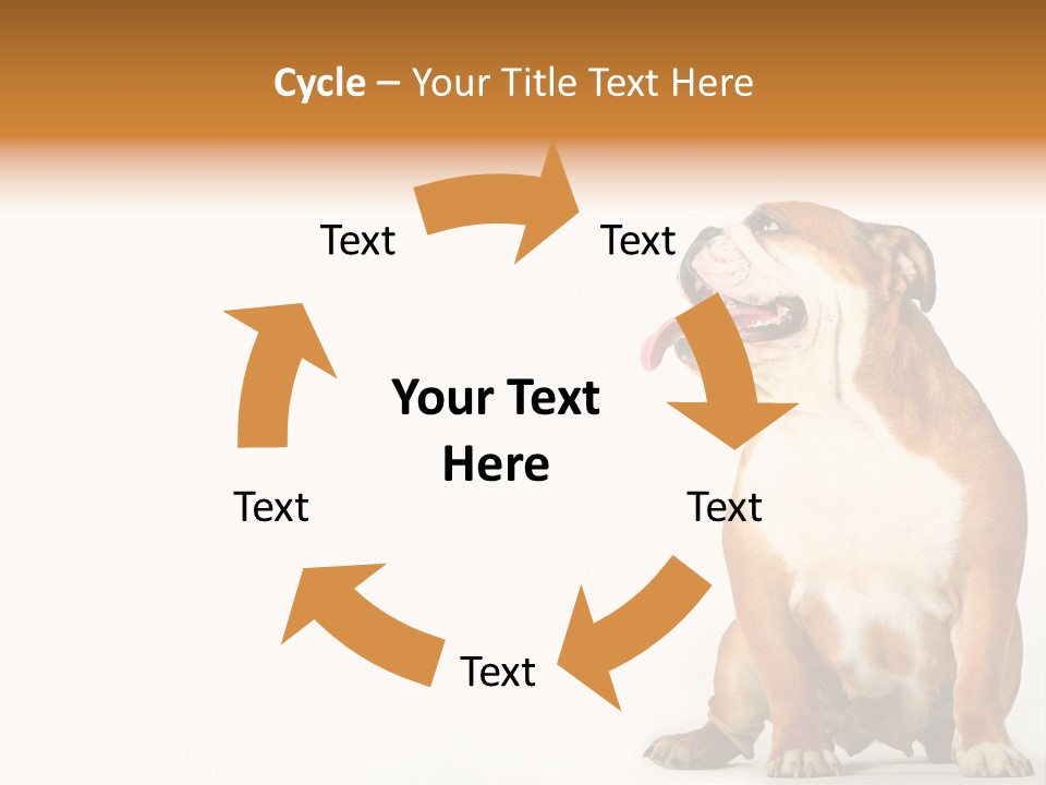 Bulldog PowerPoint Template