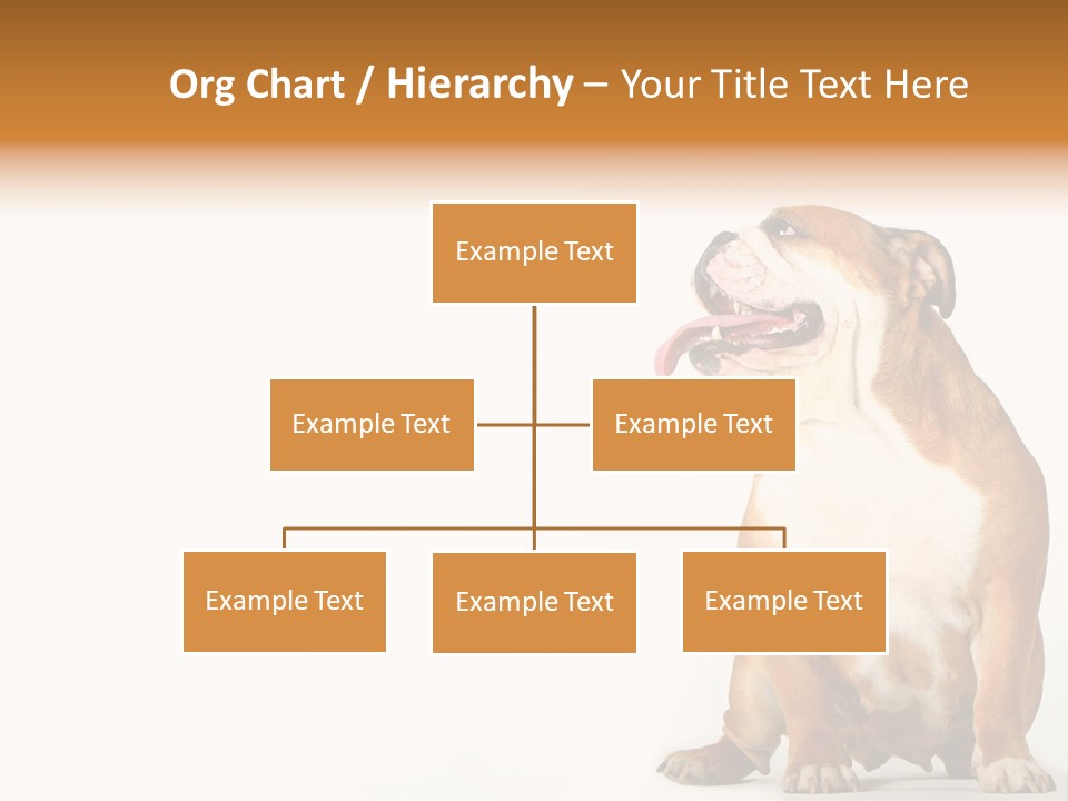 Bulldog PowerPoint Template
