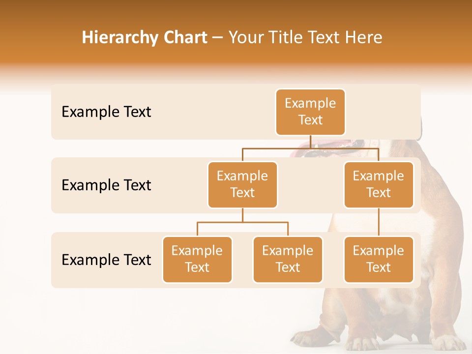 Bulldog PowerPoint Template