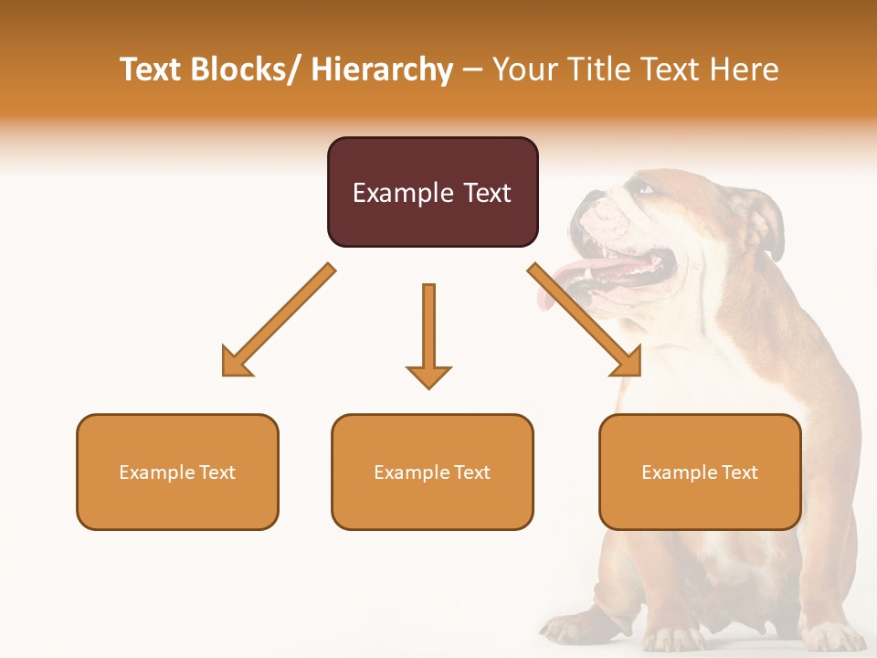 Bulldog PowerPoint Template