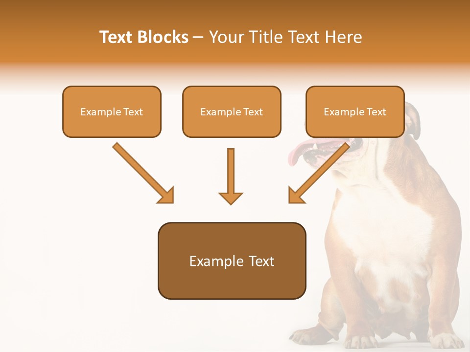 Bulldog PowerPoint Template