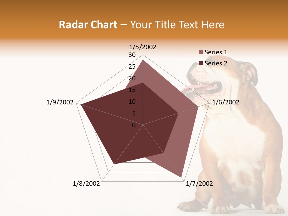 Bulldog PowerPoint Template