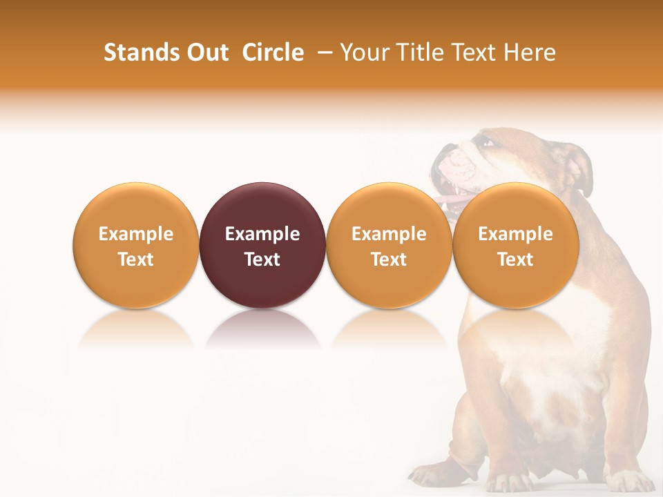 Bulldog PowerPoint Template