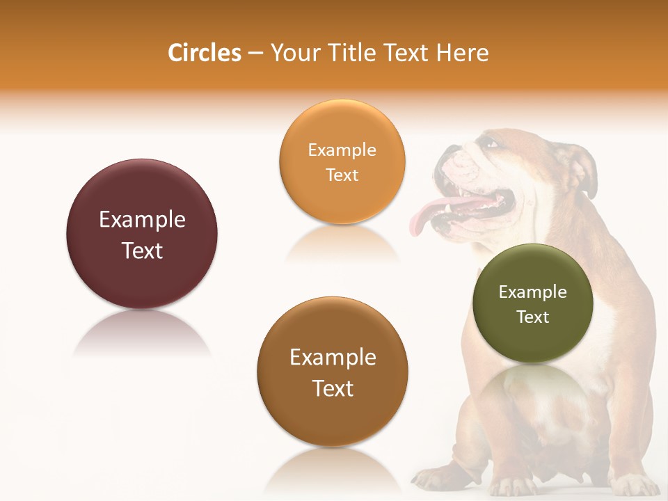 Bulldog PowerPoint Template