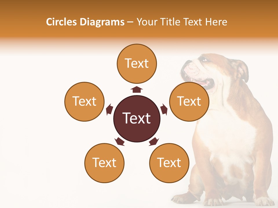 Bulldog PowerPoint Template